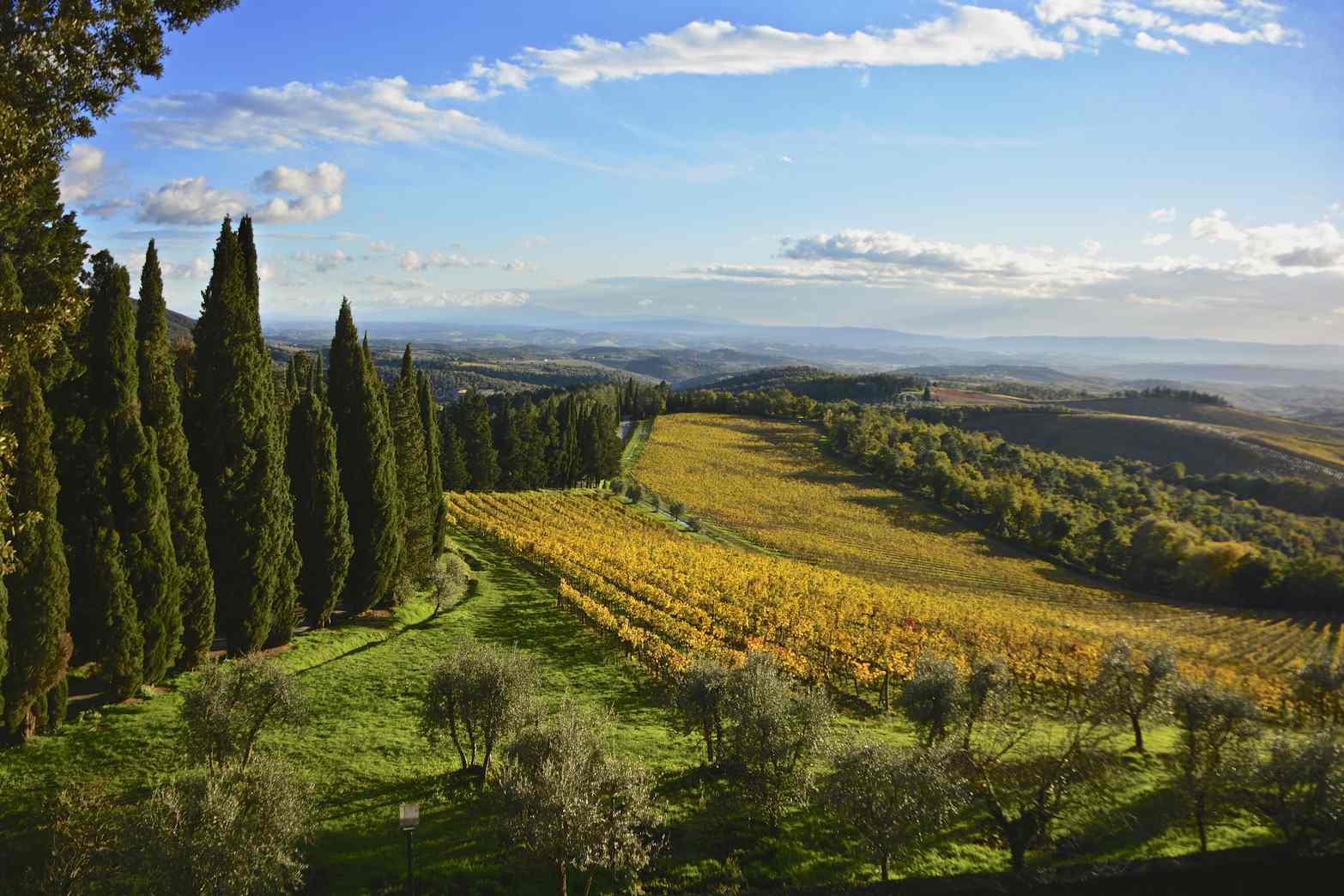 ucuzakesfet.com/siena-chianti-classico-sarap