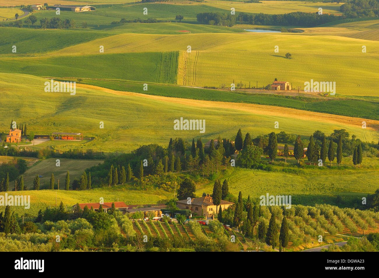ucuzakesfet.com/siena-val-dorcia-pienza