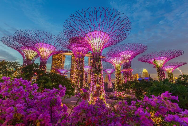 ucuzakesfet.com/singapur-gardens-by-the-bay-supertree-grove