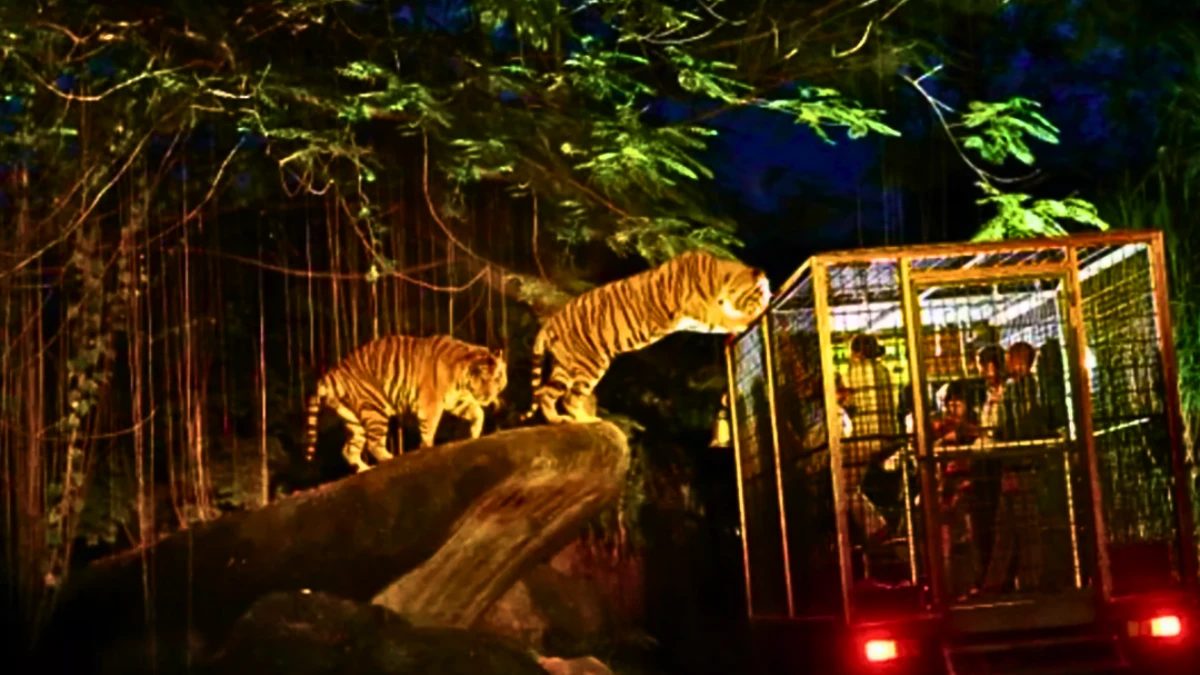 ucuzakesfet.com/singapur-singapore-zoo-night-safari