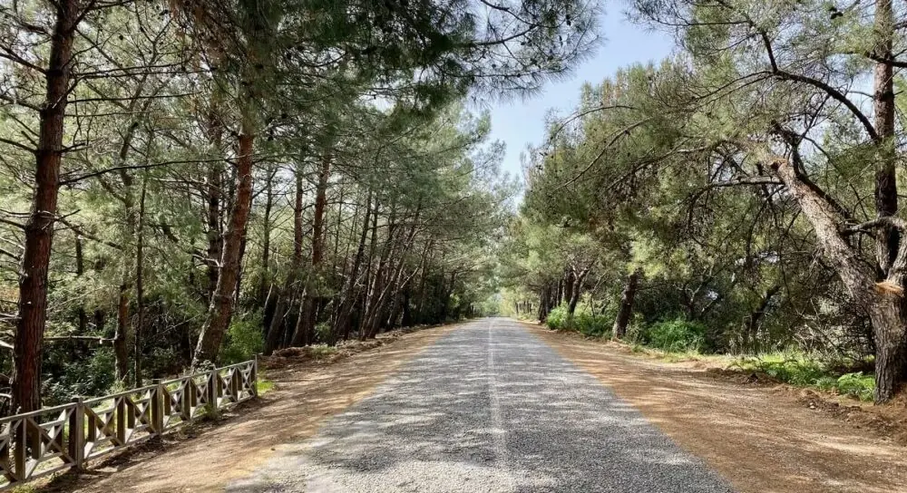 Dilek Yarımadası Milli Parkı