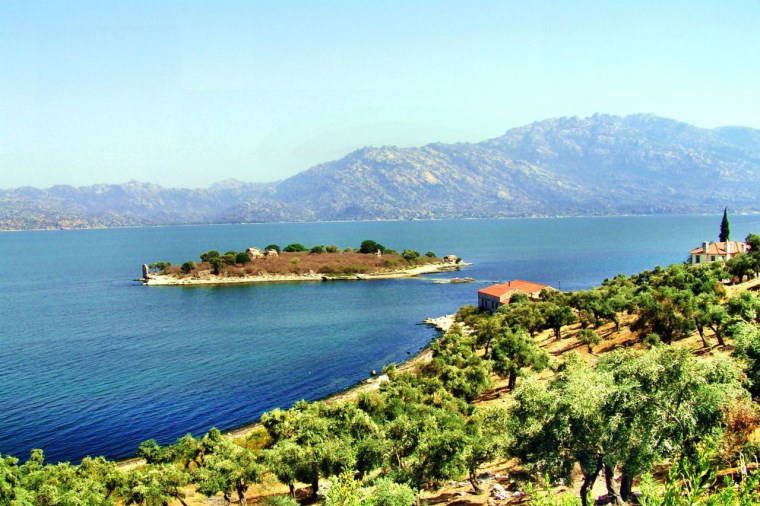 Otlu kahvaltı (Ege otları)