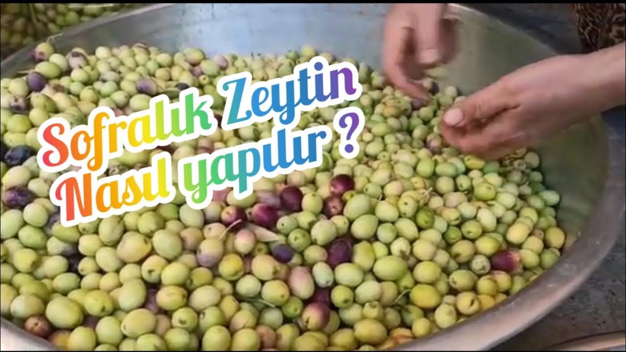 Sofralık zeytin