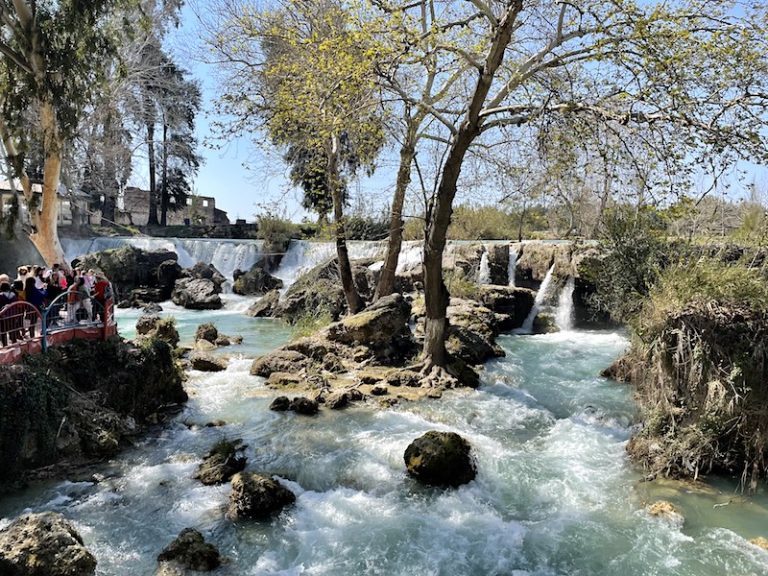 Bici bici / Mersin tantuni (yakın)