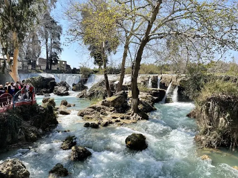 Bici bici / Mersin tantuni (yakın)