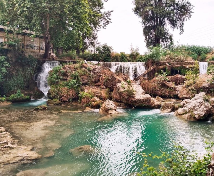 Şalgam + acı biber salçası