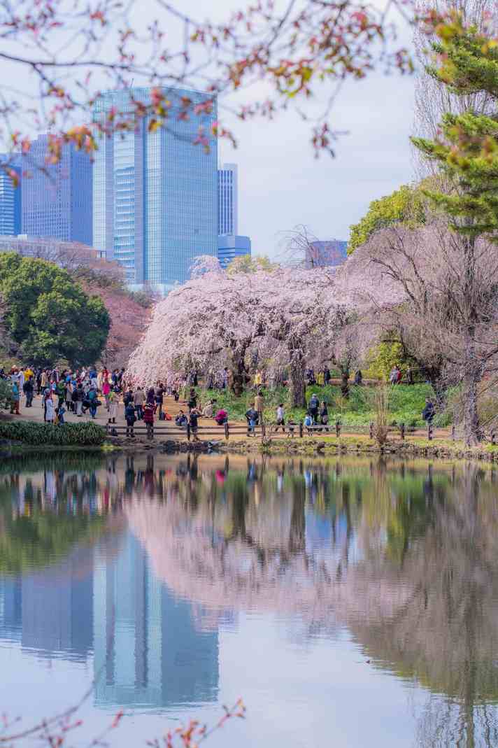 ucuzakesfet.com/tokyo-shinjuku-gyoen-shinjuku