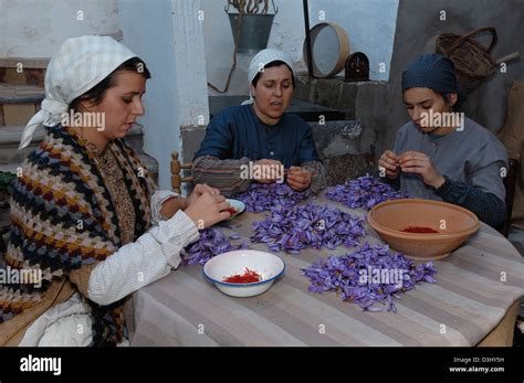 Azafrán (La Mancha safranı)