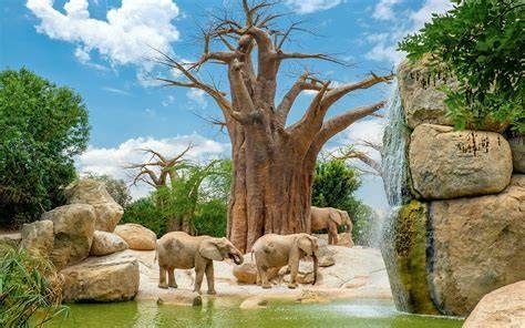 Valensiya Bioparc Valencia