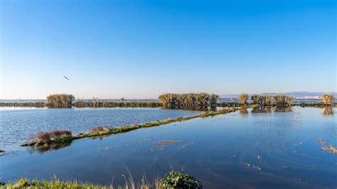 Albufera + El Palmar
