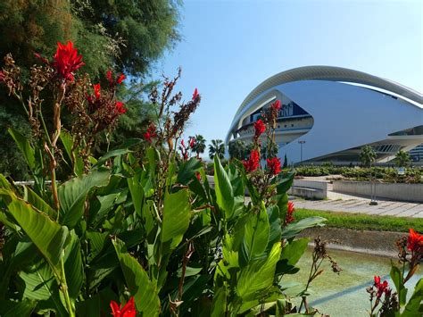Valensiya Turia Bahçeleri (Jardín del Turia)
