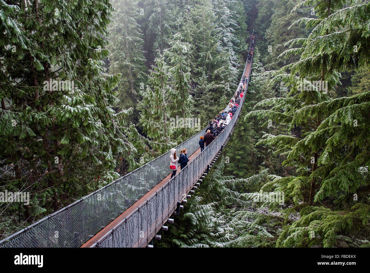 Capilano Asma Köprüsü Parkı