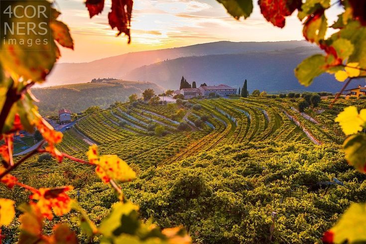 ucuzakesfet.com/verona-valpolicella