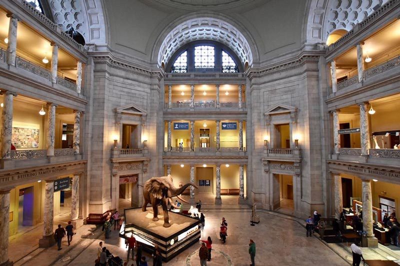 Washington Smithsonian Natural History Museum